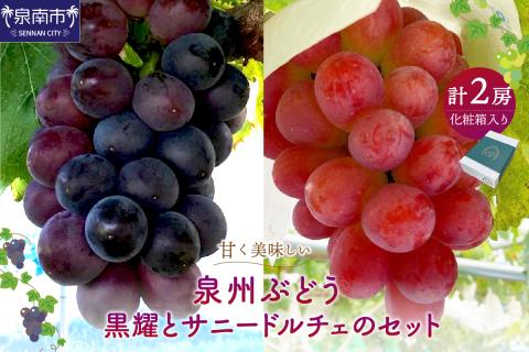 泉州ぶどう 黒耀とサニードルチェのセット【065D-014】