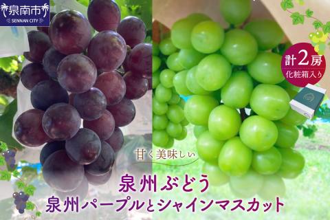 泉州ぶどう 泉州パープルとシャインマスカットのセット【065D-016】