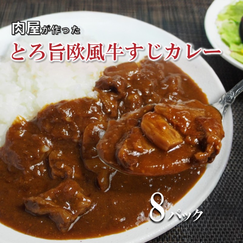 とろ旨欧風牛すじカレー（200g×8パック） ※お届け不可地域あり【069D-011】