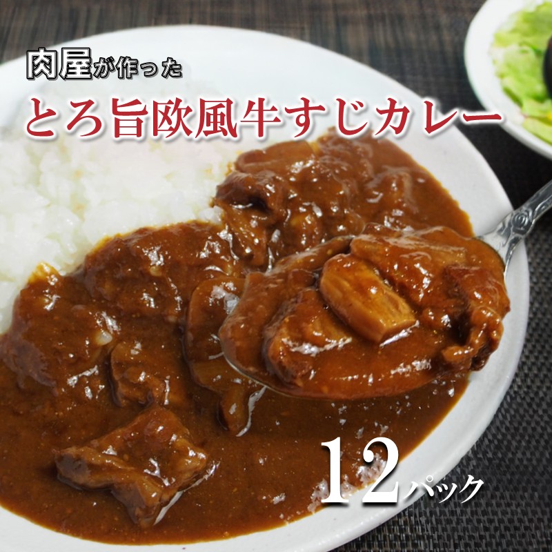 とろ旨欧風牛すじカレー（200g×12パック） ※お届け不可地域あり【069D-013】