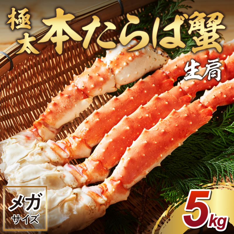 【2肩約5kgの超極太10L以上メガサイズ】一番人気！ 本たらば蟹 生肩 約5kg 目視選別【087A-007】