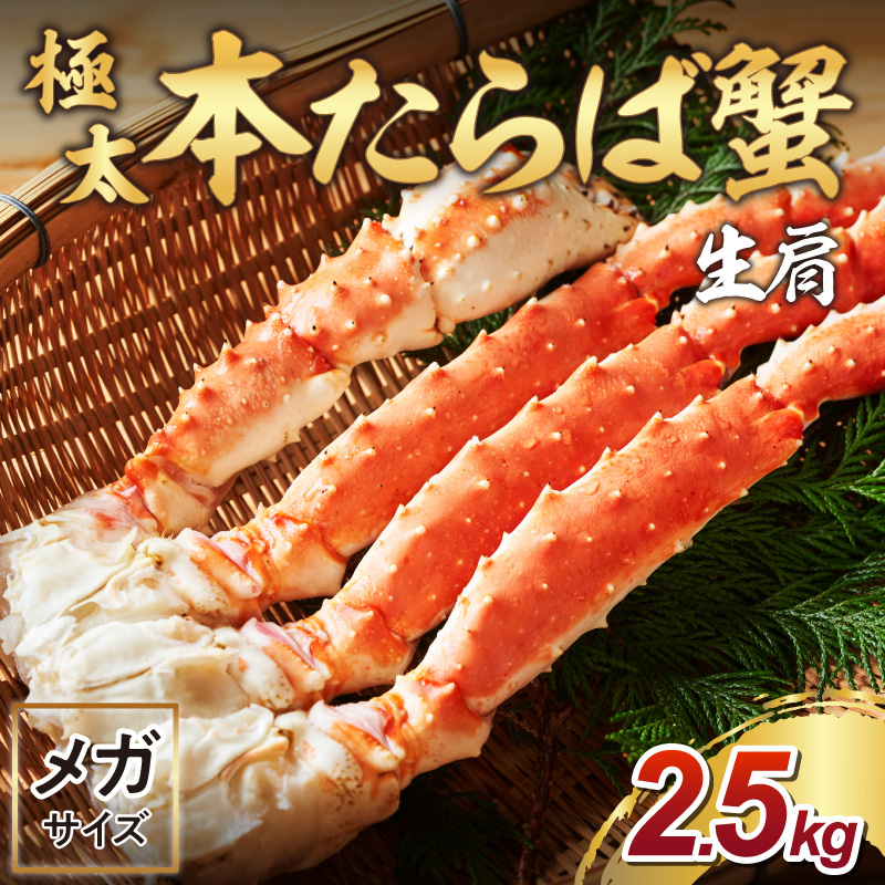 【1肩約2.5kgの超極太10L以上メガサイズ】本たらば蟹 生肩 約2.5kg 目視選別【087B-048】