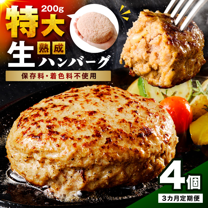 【無添加】食べ応え抜群！ 生ハンバーグ 200g 4個 3ヶ月定期便【087C-012】