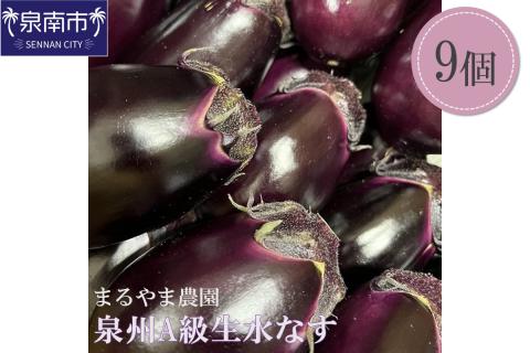 まるやま農園 泉州A級生水なす【087D-033】