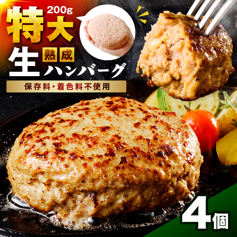 【無添加】食べ応え抜群！ 生ハンバーグ 200g 4個【087D-037】