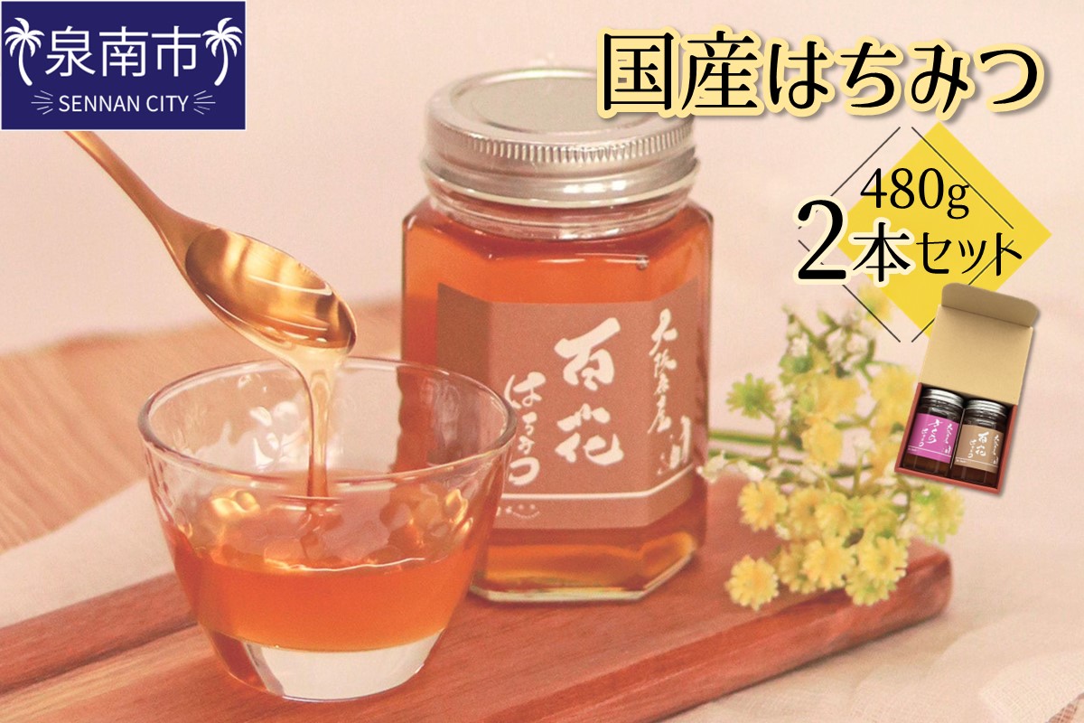 国産はちみつ480g 2本セット ※お届け不可地域あり【090D-002】