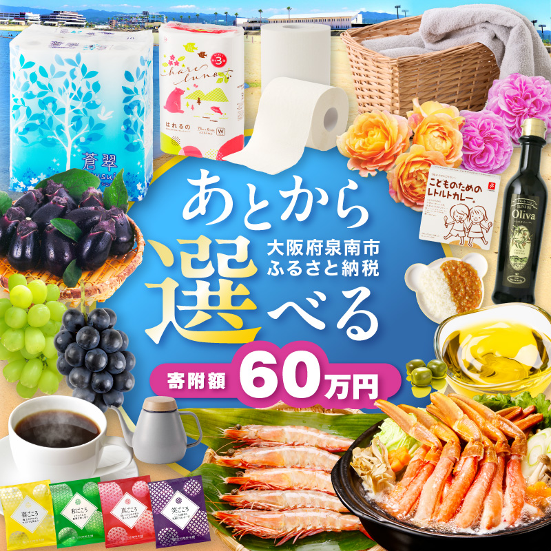 あとからセレクト【ふるさとギフト】60万円【119A-007】