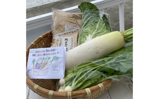 野菜がおいしく漬かる糠漬けセット 100サイズ箱 ※お届け不可地域あり[015E-010]