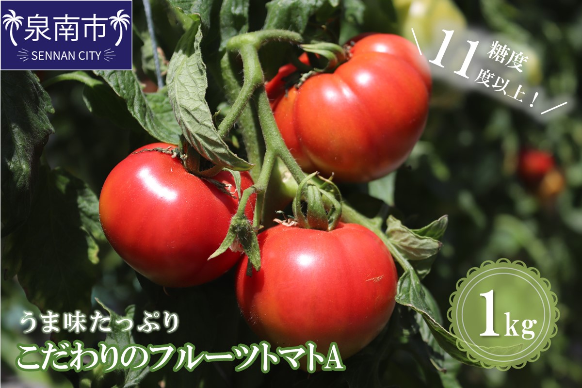 [糖度11度以上]うま味たっぷり こだわりのフルーツトマトA 1kg ※お届け不可地域あり[093D-001]