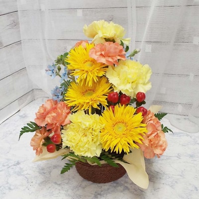 お任せ アレンジメント 生花 お祝い イエロー系【配送不可地域：離島】