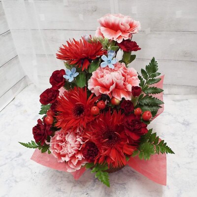 お任せ アレンジメント 生花 お祝い レッド系【配送不可地域：離島】