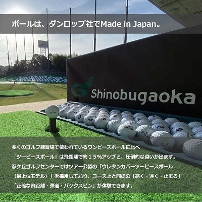 ゴルフ練習場 忍ケ丘ゴルフセンター ICカードチャージ利用券 40,000円分(約4,800球)