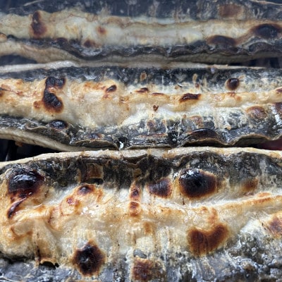 【国産うなぎ】大サイズ140g -170g　鹿児島産　10尾 炭火蒲焼き(タレ付き)【配送不可地域：離島】