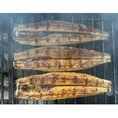 【国産うなぎ】大サイズ140g -170g　鹿児島産　6尾セット 炭火蒲焼き(タレ付)【配送不可地域：離島】
