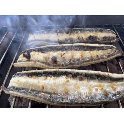 【国産うなぎ】大サイズ140g -170g　三河一色産　3尾　炭火蒲焼き(タレ付き)【配送不可地域：離島】