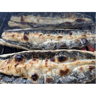 【国産うなぎ】通常サイズ120g-140g　三河一色産　5尾　炭火蒲焼き(タレ付き)【配送不可地域：離島】