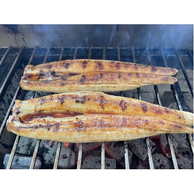 【国産うなぎ】通常サイズ120g-140g　三河一色産　10尾　炭火蒲焼き(タレ付き)【配送不可地域：離島】