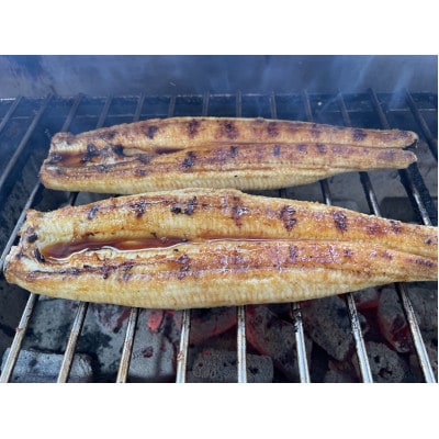 【国産うなぎ】大サイズ140g -170g　三河一色産　4尾セット　炭火蒲焼き(タレ付き)【配送不可地域：離島】