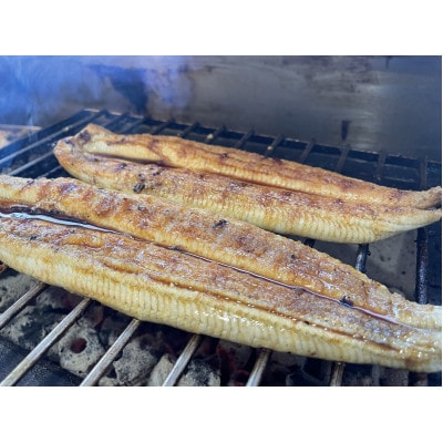 【国産うなぎ】大サイズ140g -170g　三河一色産　2尾セット　炭火蒲焼き(タレ付き)【配送不可地域：離島】