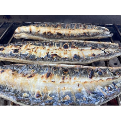 【国産うなぎ】大サイズ140g -170g　三河一色産　6尾セット　炭火蒲焼き(タレ付き)【配送不可地域：離島】