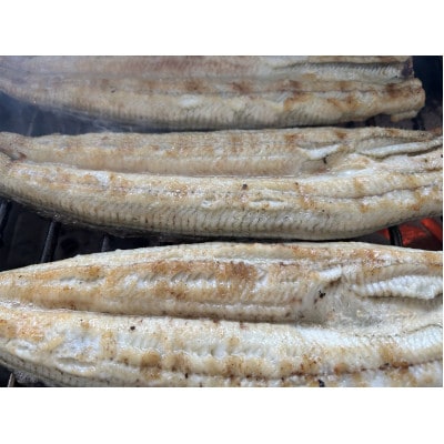 【国産うなぎ】特大サイズ180g-220g　三河一色産　6尾　炭火蒲焼き(タレ付き)【配送不可地域：離島】