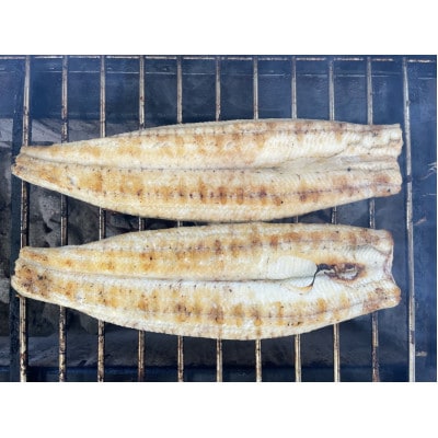 【国産うなぎ】特大サイズ180g-220g　三河一色産　2尾　炭火蒲焼き(タレ付き)【配送不可地域：離島】