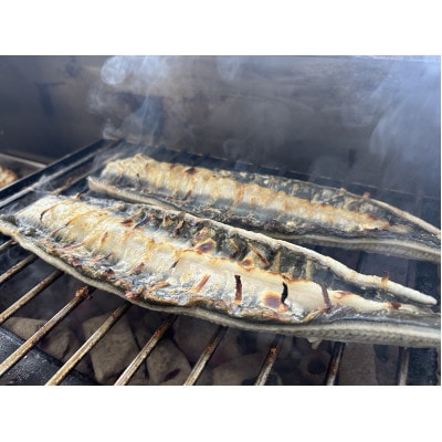 【国産うなぎ】大サイズ140g -170g　三河一色産　2尾セット　炭火白焼き【配送不可地域：離島】