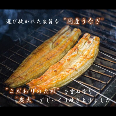 【国産うなぎ】大サイズ140g -170g　鹿児島産　6尾セット 炭火蒲焼き(タレ付)【配送不可地域：離島】