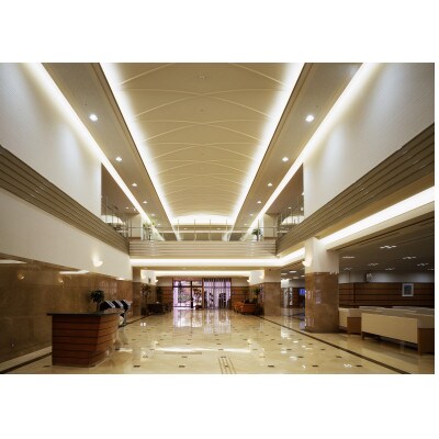 脳ドック(通常コース)ご利用券 1名様　　　畷生会脳神経外科病院　ふるさと納税　　　