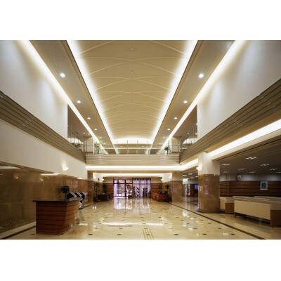 脳ドック(MRI・MRAコース)  ご利用券　 　1名様  畷生会脳神経外科病院 ふるさと納税