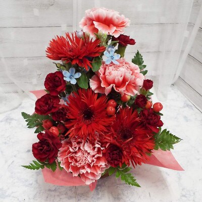 お任せ アレンジメント 生花 お祝い レッド系【配送不可地域：離島】