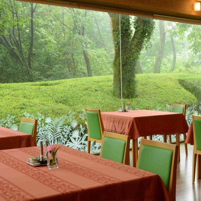 ランチご利用券 6,000円分 森の隠れ家レストラン VENT ET VERT アイ・アイ・ランド