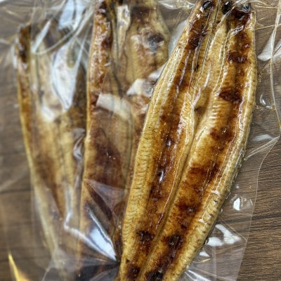 【国産うなぎ】大サイズ140g -170g　鹿児島産　10尾 炭火蒲焼き(タレ付き)【配送不可地域：離島】