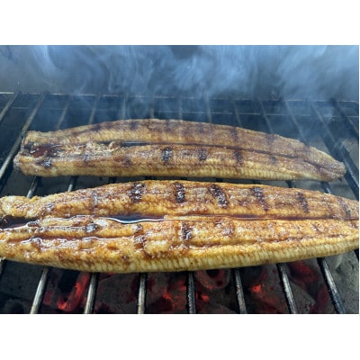 【国産うなぎ】大サイズ140g -170g　鹿児島産　6尾セット 炭火蒲焼き(タレ付)【配送不可地域：離島】