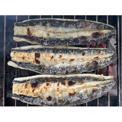 【国産うなぎ】大サイズ140g -170g　三河一色産　10尾　炭火蒲焼き(タレ付き)【配送不可地域：離島】