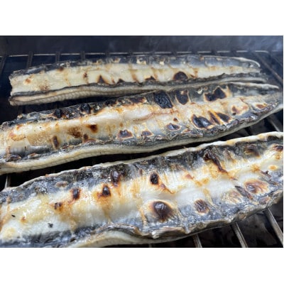 【国産うなぎ】通常サイズ120g-140g　三河一色産　4尾　炭火蒲焼き(タレ付き)【配送不可地域：離島】