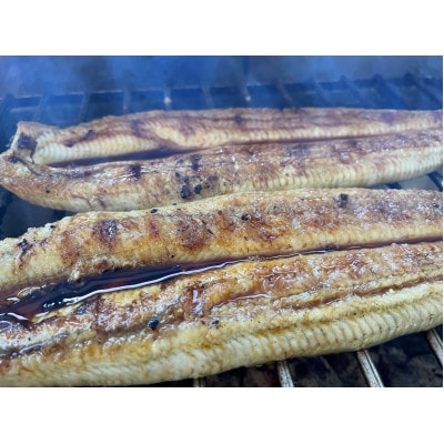 【国産うなぎ】大サイズ140g -170g　三河一色産　4尾セット　炭火蒲焼き(タレ付き)【配送不可地域：離島】