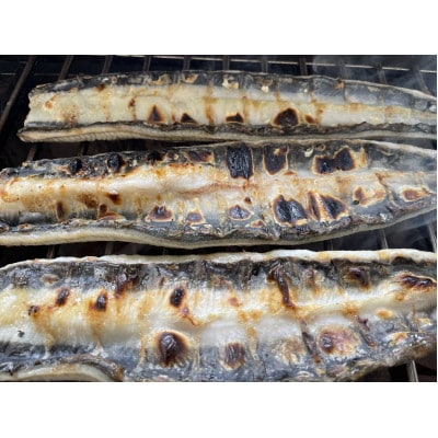 【国産うなぎ】大サイズ140g -170g　三河一色産　6尾セット　炭火蒲焼き(タレ付き)【配送不可地域：離島】