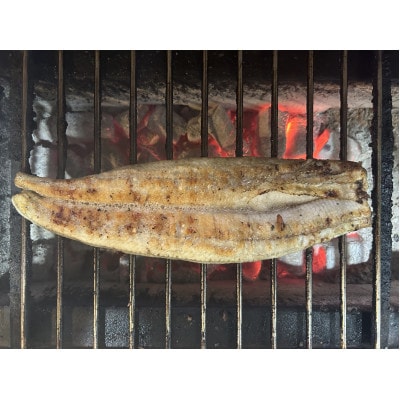 【国産うなぎ】特大サイズ180g-220g　三河一色産　6尾　炭火蒲焼き(タレ付き)【配送不可地域：離島】