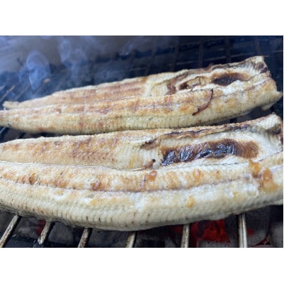 【国産うなぎ】特大サイズ180g-220g　三河一色産　2尾　炭火蒲焼き(タレ付き)【配送不可地域：離島】