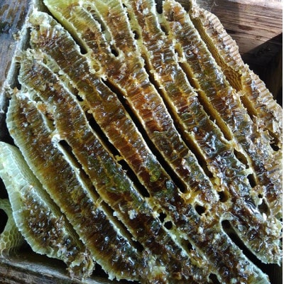 日本みつばちが集めた貴重なはちみつ(百花蜜)をお届けします。