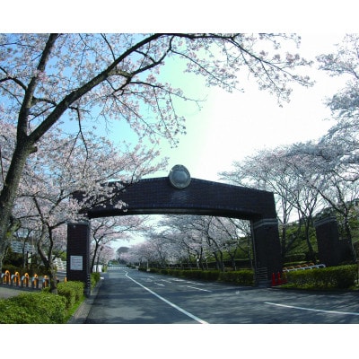 公営 飯盛霊園 合葬墓「虹の丘」使用権(合葬)