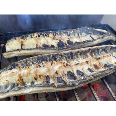 【国産うなぎ】特大サイズ180g-220g　三河一色産　2尾　炭火白焼き【配送不可地域：離島】