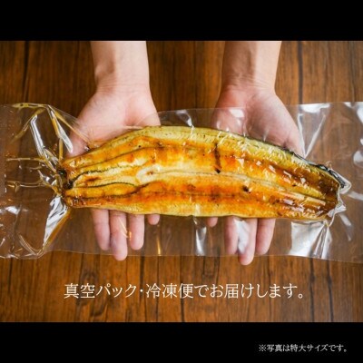 【国産うなぎ】大サイズ140g -170g　三河一色産　6尾セット　炭火蒲焼き(タレ付き)【配送不可地域：離島】