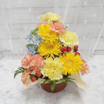 お任せ アレンジメント 生花 お祝い イエロー系【配送不可地域：離島】