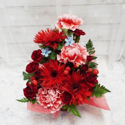 お任せ アレンジメント 生花 お祝い レッド系【配送不可地域：離島】