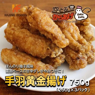 手羽黄金揚げ 750g(250g×3パック) 甘辛ダレがやみつき 電子レンジで温めるだけ 冷凍便【配送不可地域：離島】