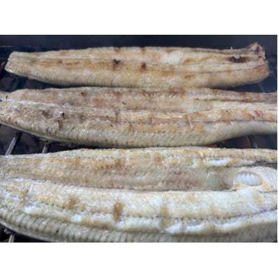 【国産うなぎ】大サイズ140g -170g　鹿児島産　10尾 炭火蒲焼き(タレ付き)【配送不可地域：離島】