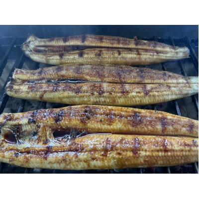 【国産うなぎ】大サイズ140g -170g　鹿児島産　6尾セット 炭火蒲焼き(タレ付)【配送不可地域：離島】