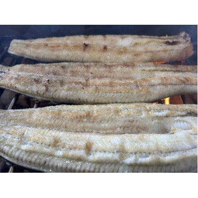 【国産うなぎ】通常サイズ120g-140g　三河一色産　5尾　炭火蒲焼き(タレ付き)【配送不可地域：離島】